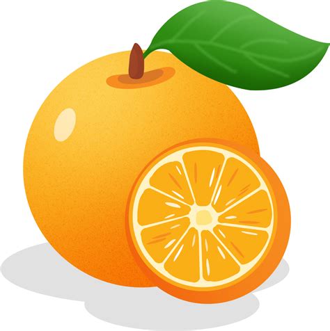 Orange Clipart PNG | PNG Play