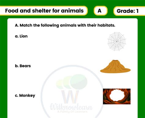 5 Pages Of Fun And Educational Food And Shelter For Animals Worksheets
