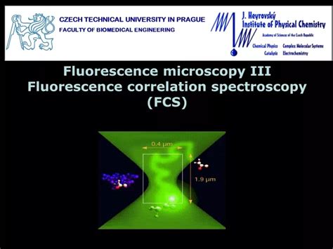 Ppt Fluorescence Microscopy Iii Fluorescence Correlation Spectroscopy