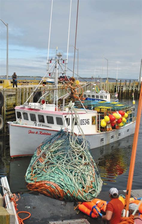 Lobster Season Ends In Southwest Nova Atlantic Fisherman