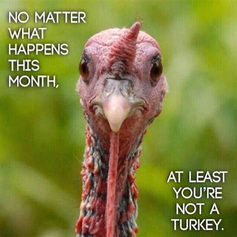29 funny pics and memes to get through thanksgiving funny gallery ebaum s world