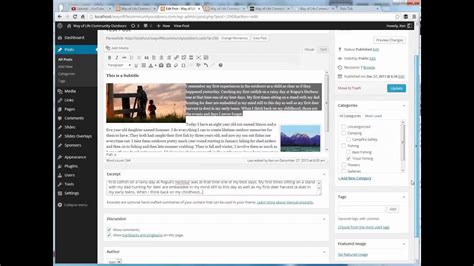 How To Add Wordpress Posts Part 3 Adding The Excerpt And Featured