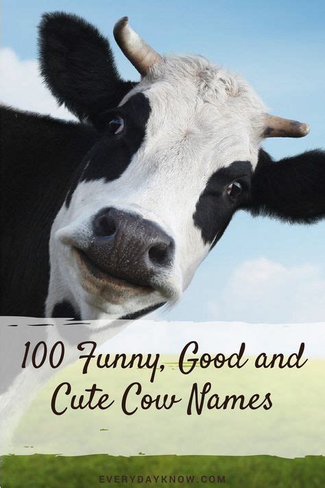 20 Cow Names Ideas In 2020 Cow Names Cow Baby Cows