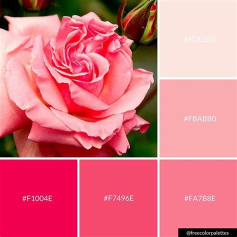 Pink Rose Flower Springtime Color Palette Inspiration Digital