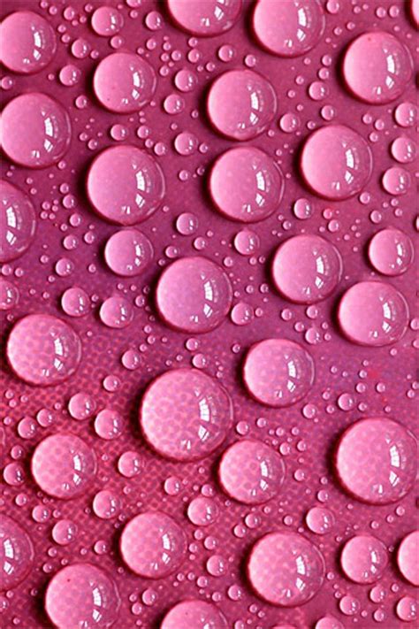 24 Pink Water Drops Wallpapers Wallpapersafari