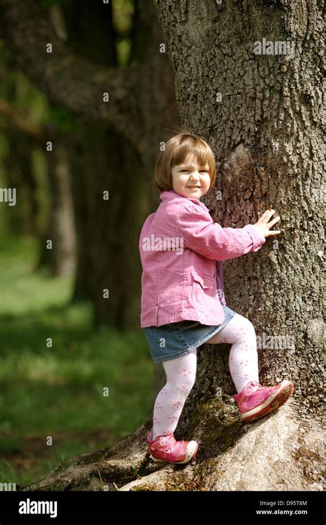 Little Pretty Girl Climbing Tree In The Park Stock Photo Alamy