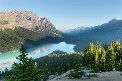 Icefields Parkway Bow Pass Peyto Lake Photograph By John Elk Iii