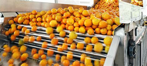 Inspectors may investigate accidents and dangerous occurence and. Engery Saving Orange Juice Production Industrial Orange ...