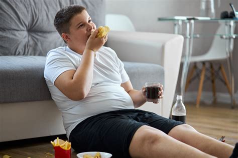 as oito principais causas da obesidade notícias