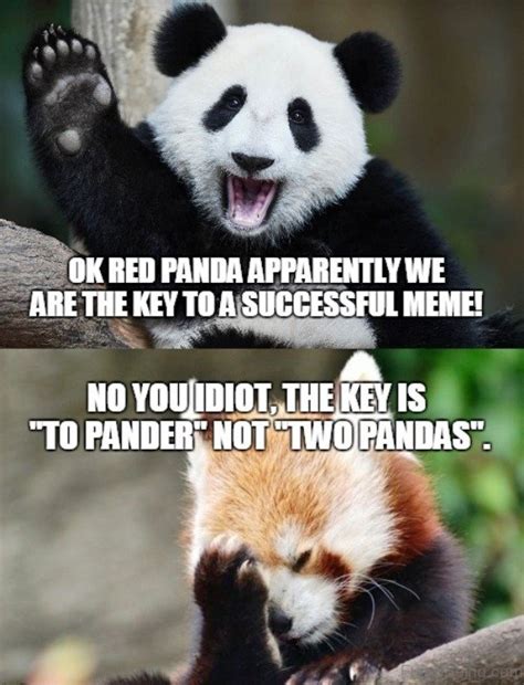 84 Stupid Panda Memes
