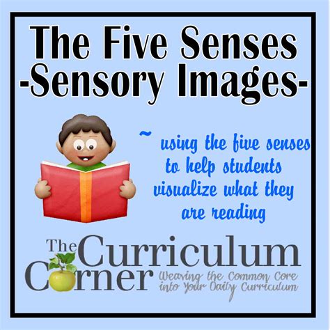 The Five Senses Sensory Images The Curriculum Corner 123
