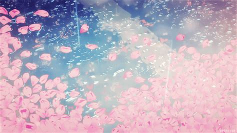 Pink Flowers Are Seen Through The Rain On A Window Pane With Blue Sky