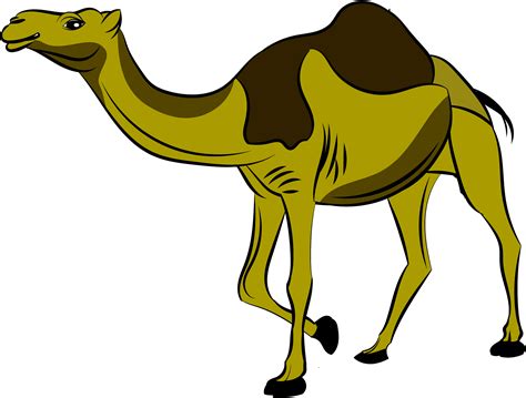 Camel Gambar Unta Kartun