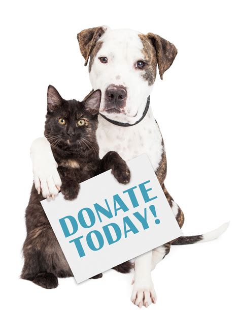 We'll accept all kinds of dog and cat food. Animal Shelter Wish List - Delta Animal Shelter Escanaba ...