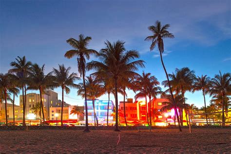 Miami, Florida Cruises - Excursions, Reviews, & Photos - Cruiseline.com