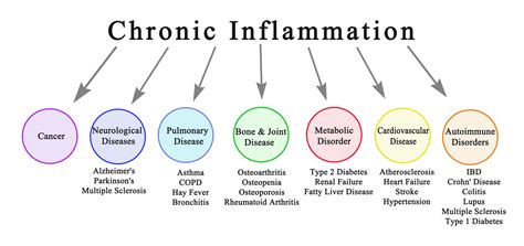 What You Need To Know About Inflammation Kylie Pinwill