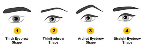 personality test your eyebrow shape reveals your hidden personality traits