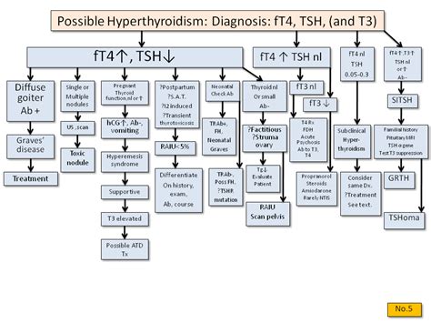 Hyperthyroidism Algorithm Diagnosis Continue With The Details At The