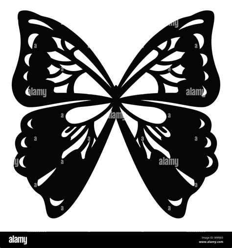 Exotic Black White Orange Butterfly Stock Vector Images Alamy