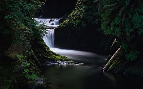 Wallpaper Forest Waterfall Dark Nature Reflection Grass Green