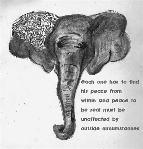 Quotes About Friendship And Elephants Quotesgram