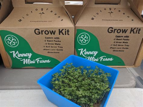 Microgreen Grow Kits Etsy