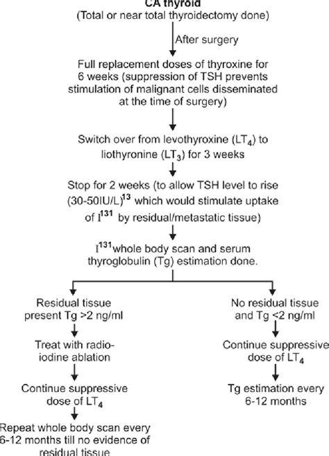 Figure 2 From Thyroid Nodule Evaluation And Management — A Physician