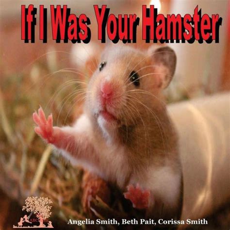 If I Was Your Hamster Hamster Breeds Hamsters As Pets Funny Hamsters