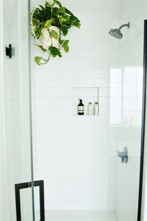 21 Best Plants For Your Bathrooms
