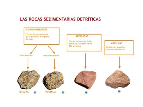 Rocas Sedimentarias Tipos Clasificacion Y Ejemplos Images