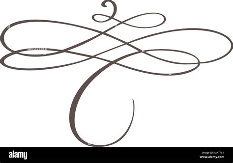 Hand Drawn Flourish Separator Calligraphy Designer Elements Vector