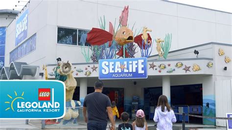 Sea Life® Aquarium Reopens At Legoland California Resort Youtube
