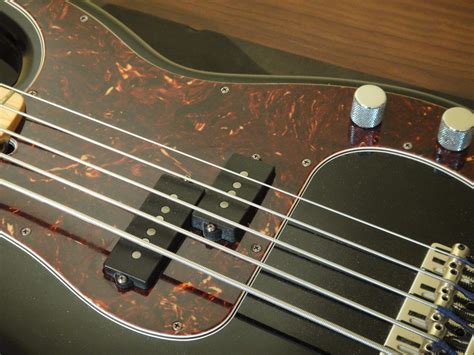 Fender P Bass Pickguard Tortoise Music Instrument Free Nude Porn Photos