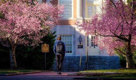 Zsr Wake Forest Fund Wake Forest University Crowdfunding