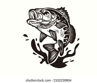 Largemouth Bass Fish Carnivorous Freshwater Gamefish Stock Vector