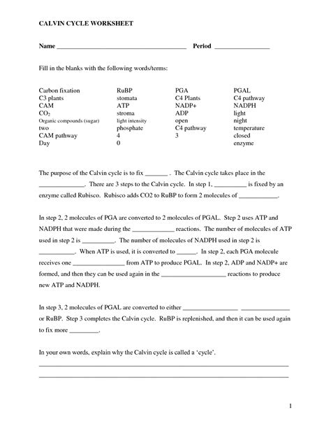 Quiz yourself by filling in the blanks. Cell Fill In The Blank Worksheet - Worksheets Samples