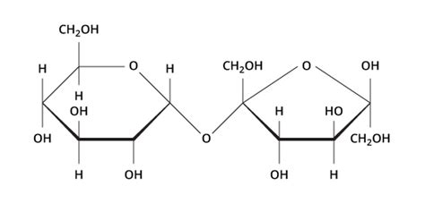 Molecular Structure Of A Carbohydrate Sharedoc