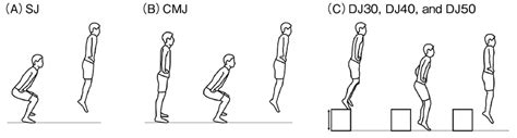 Examples Of Vertical Jump Modalities A Sj Squat Jump B Cmj
