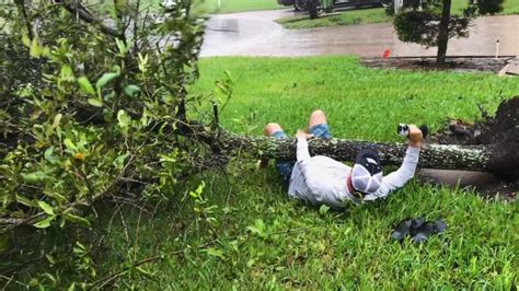 Man Stuck Under Fallen Tree From Hurricane In His Frontyard In South Florida Clipstock