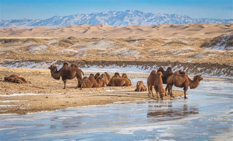 Mongolia Travel Blog — Explore The Life Of Mongolian Nomads In The