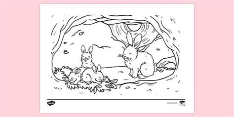 Free Rabbit Burrow Colouring Colouring Sheets Twinkl