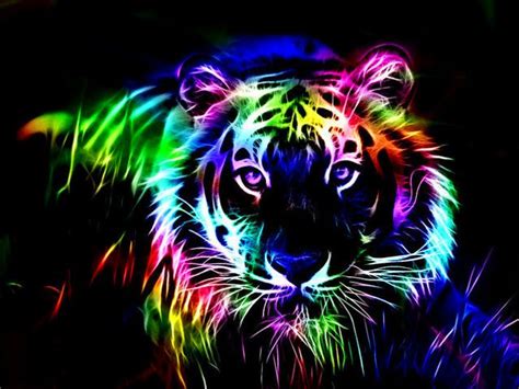 Rainbow Tiger By Fizzy Sprite On Deviantart