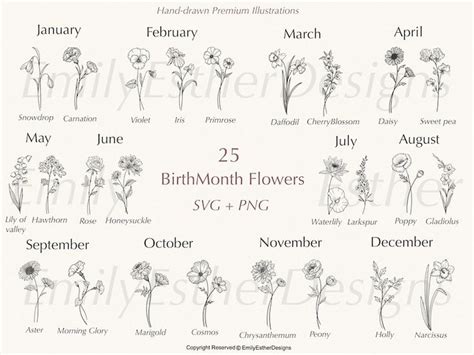 An Image Of Birth Flowers And Months