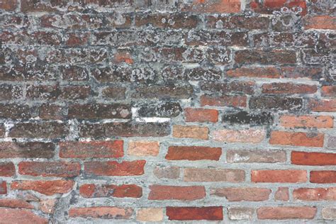 3840x2560 Brick Brick Wall Bricks Castle Forest Old Red Bricks