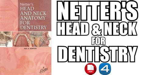 Netters Head And Neck Anatomy For Dentistry Pdf Free Download