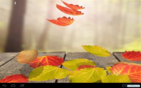 Falling Leaves Live Wallpaper на андроид
