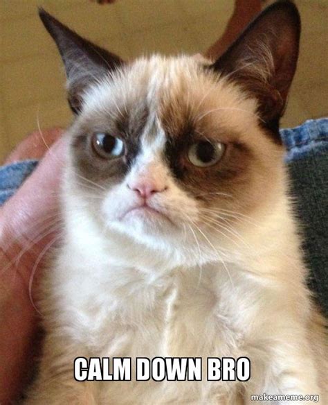 Calm Down Bro Grumpy Cat Make A Meme