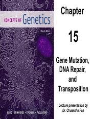 Chp 15 Chapter 15 Gene Mutation DNA Repair And Transposition 1