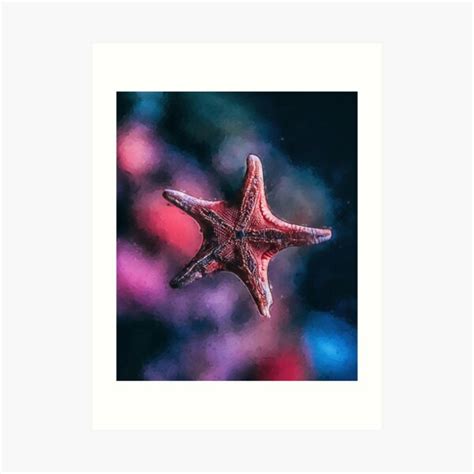 Purple Starfish Under The Ocean Cute Starfish Under The Ocean Life