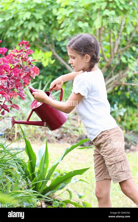 Girl Watering Plants In Garden With Red Watering Can Stock Photo Alamy